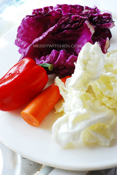 Cabbage, Red Cabbage, Capsicum, Carrot